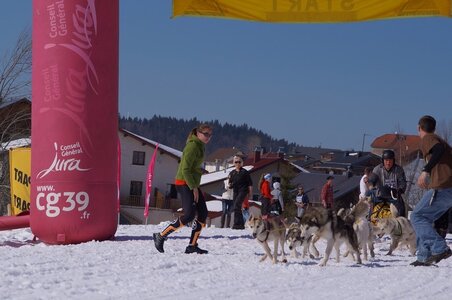 La Pesse 2014  Course de chiens de traineau  (dimanche 09/03/2014), DSC05679