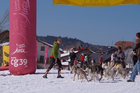 La Pesse 2014  Course de chiens de traineau  (dimanche 09/03/2014), DSC05680