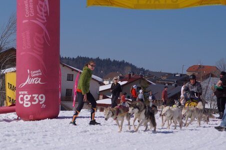La Pesse 2014  Course de chiens de traineau  (dimanche 09/03/2014), DSC05681