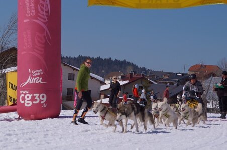 La Pesse 2014  Course de chiens de traineau  (dimanche 09/03/2014), DSC05682