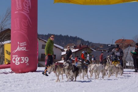 La Pesse 2014  Course de chiens de traineau  (dimanche 09/03/2014), DSC05683