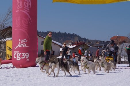 La Pesse 2014  Course de chiens de traineau  (dimanche 09/03/2014), DSC05684