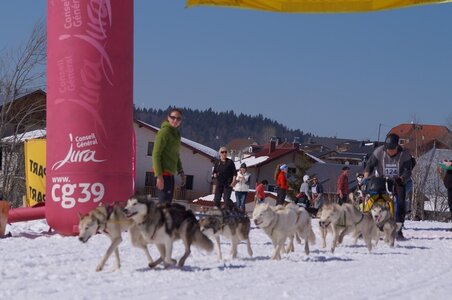 La Pesse 2014  Course de chiens de traineau  (dimanche 09/03/2014), DSC05685