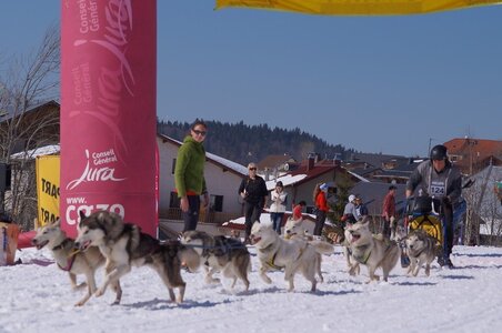La Pesse 2014  Course de chiens de traineau  (dimanche 09/03/2014), DSC05686