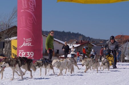 La Pesse 2014  Course de chiens de traineau  (dimanche 09/03/2014), DSC05687