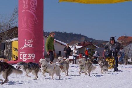 La Pesse 2014  Course de chiens de traineau  (dimanche 09/03/2014), DSC05688