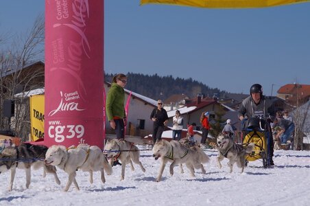 La Pesse 2014  Course de chiens de traineau  (dimanche 09/03/2014), DSC05689