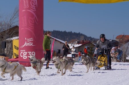 La Pesse 2014  Course de chiens de traineau  (dimanche 09/03/2014), DSC05690