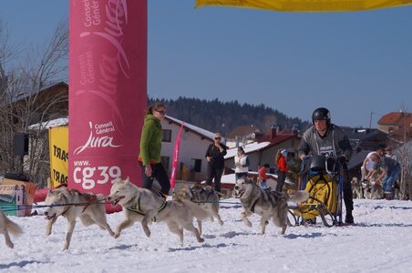 La Pesse 2014  Course de chiens de traineau  (dimanche 09/03/2014), DSC05691