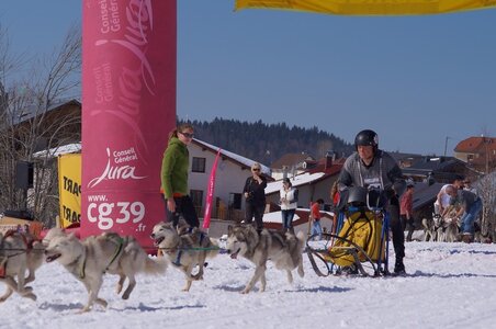 La Pesse 2014  Course de chiens de traineau  (dimanche 09/03/2014), DSC05692