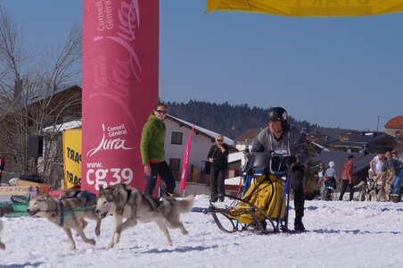 La Pesse 2014  Course de chiens de traineau  (dimanche 09/03/2014), DSC05693