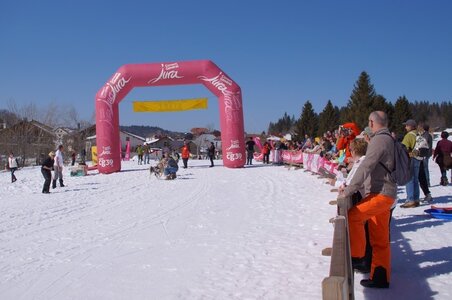 La Pesse 2014  Course de chiens de traineau  (dimanche 09/03/2014), DSC05696