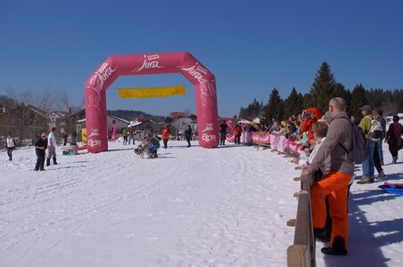 La Pesse 2014  Course de chiens de traineau  (dimanche 09/03/2014), DSC05697