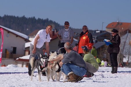 La Pesse 2014  Course de chiens de traineau  (dimanche 09/03/2014), DSC05698