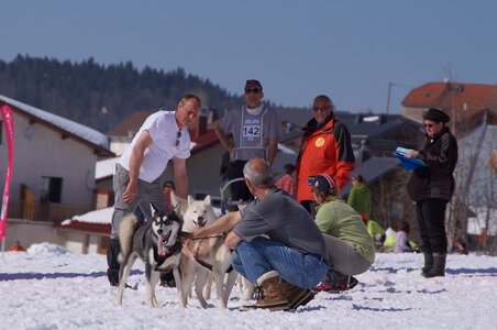 La Pesse 2014  Course de chiens de traineau  (dimanche 09/03/2014), DSC05700