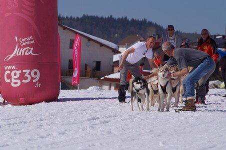 La Pesse 2014  Course de chiens de traineau  (dimanche 09/03/2014), DSC05701