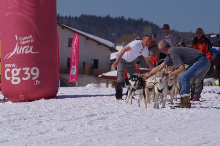 La Pesse 2014  Course de chiens de traineau  (dimanche 09/03/2014), DSC05702