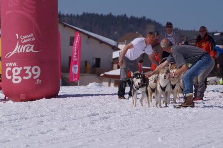 La Pesse 2014  Course de chiens de traineau  (dimanche 09/03/2014), DSC05703