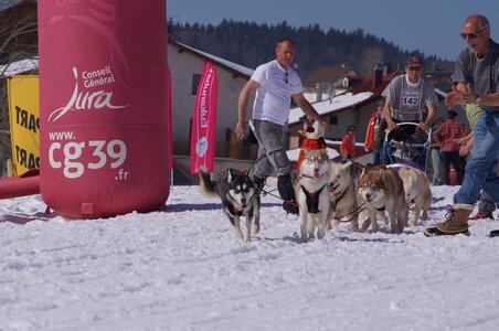 La Pesse 2014  Course de chiens de traineau  (dimanche 09/03/2014), DSC05706