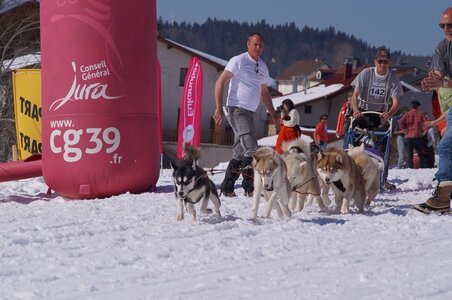 La Pesse 2014  Course de chiens de traineau  (dimanche 09/03/2014), DSC05707