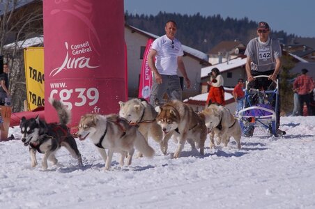La Pesse 2014  Course de chiens de traineau  (dimanche 09/03/2014), DSC05711