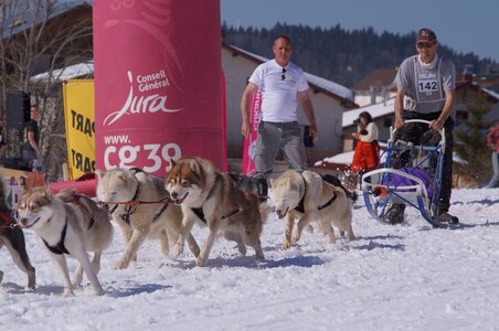 La Pesse 2014  Course de chiens de traineau  (dimanche 09/03/2014), DSC05713