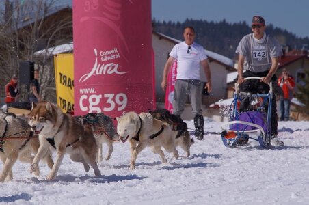 La Pesse 2014  Course de chiens de traineau  (dimanche 09/03/2014), DSC05715