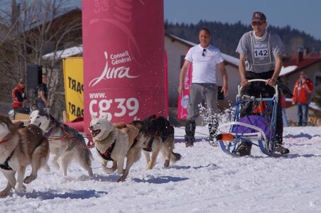 La Pesse 2014  Course de chiens de traineau  (dimanche 09/03/2014), DSC05716