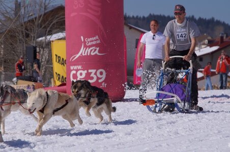 La Pesse 2014  Course de chiens de traineau  (dimanche 09/03/2014), DSC05717