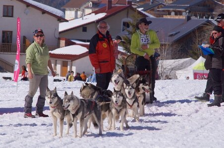 La Pesse 2014  Course de chiens de traineau  (dimanche 09/03/2014), DSC05723