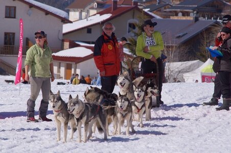 La Pesse 2014  Course de chiens de traineau  (dimanche 09/03/2014), DSC05724