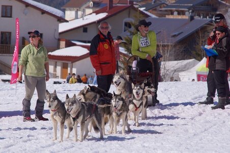 La Pesse 2014  Course de chiens de traineau  (dimanche 09/03/2014), DSC05725