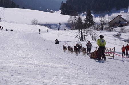 La Pesse 2014  Course de chiens de traineau  (dimanche 09/03/2014), DSC05726
