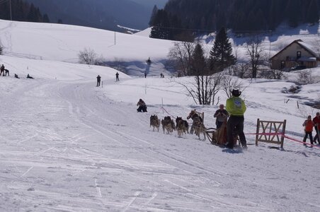 La Pesse 2014  Course de chiens de traineau  (dimanche 09/03/2014), DSC05727