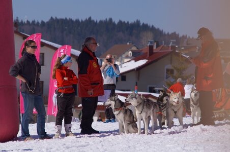 La Pesse 2014  Course de chiens de traineau  (dimanche 09/03/2014), DSC05731