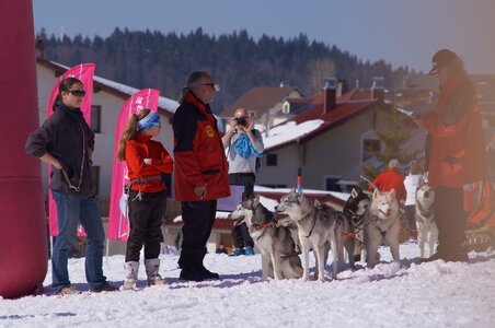 La Pesse 2014  Course de chiens de traineau  (dimanche 09/03/2014), DSC05732