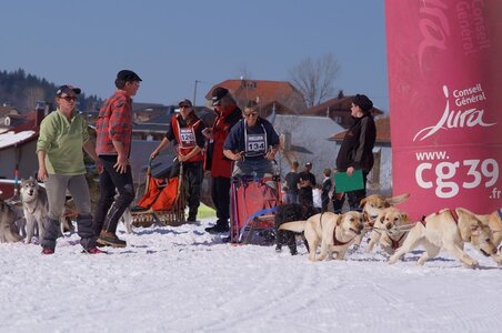 La Pesse 2014  Course de chiens de traineau  (dimanche 09/03/2014), DSC05733