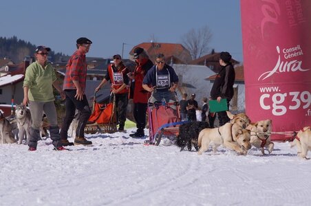 La Pesse 2014  Course de chiens de traineau  (dimanche 09/03/2014), DSC05734