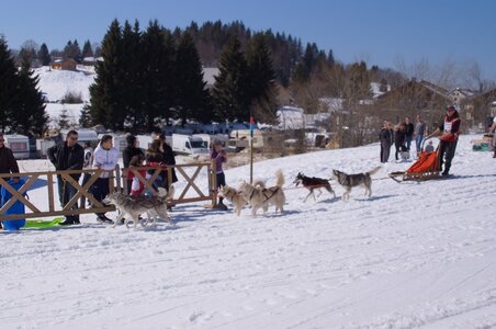 La Pesse 2014  Course de chiens de traineau  (dimanche 09/03/2014), DSC05736