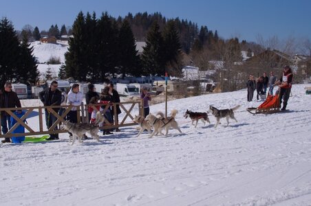 La Pesse 2014  Course de chiens de traineau  (dimanche 09/03/2014), DSC05737