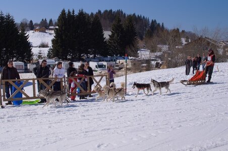 La Pesse 2014  Course de chiens de traineau  (dimanche 09/03/2014), DSC05738