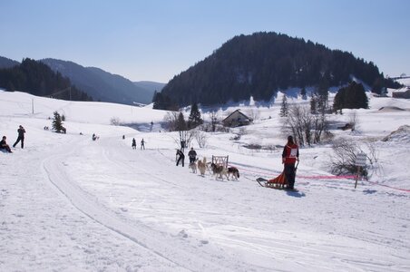 La Pesse 2014  Course de chiens de traineau  (dimanche 09/03/2014), DSC05739
