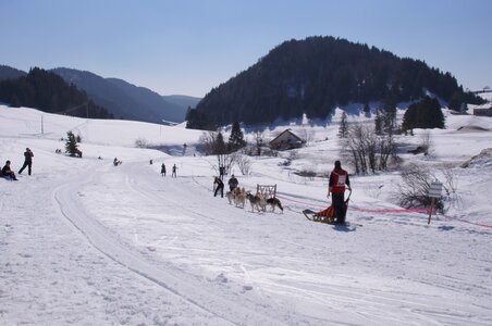 La Pesse 2014  Course de chiens de traineau  (dimanche 09/03/2014), DSC05740