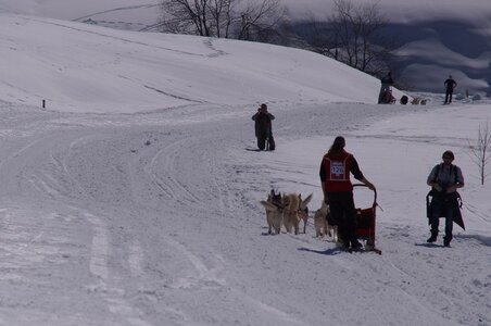 La Pesse 2014  Course de chiens de traineau  (dimanche 09/03/2014), DSC05743