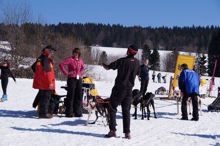 La Pesse 2014  Course de chiens de traineau  (dimanche 09/03/2014), DSC05746