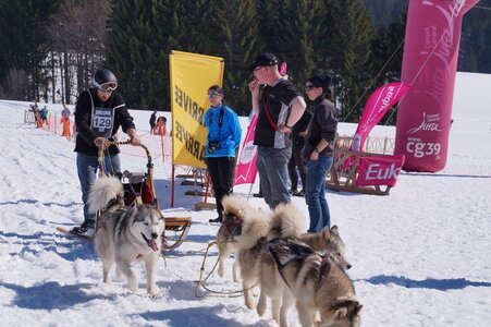 La Pesse 2014  Course de chiens de traineau  (dimanche 09/03/2014), DSC05748