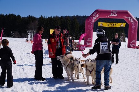 La Pesse 2014  Course de chiens de traineau  (dimanche 09/03/2014), DSC05749