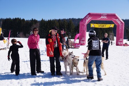 La Pesse 2014  Course de chiens de traineau  (dimanche 09/03/2014), DSC05750