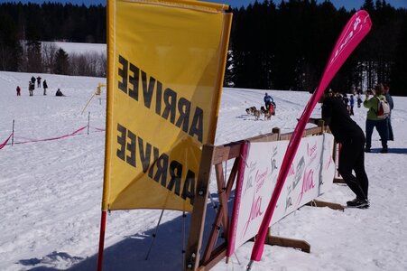 La Pesse 2014  Course de chiens de traineau  (dimanche 09/03/2014), DSC05756