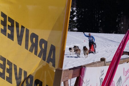 La Pesse 2014  Course de chiens de traineau  (dimanche 09/03/2014), DSC05757